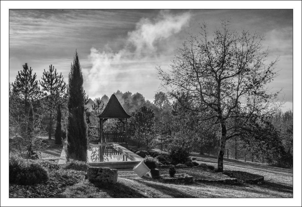 Bed and Breakfast Le Lion D'Or en PERIGORD Mauzac-et-Grand-Castang Exterior foto